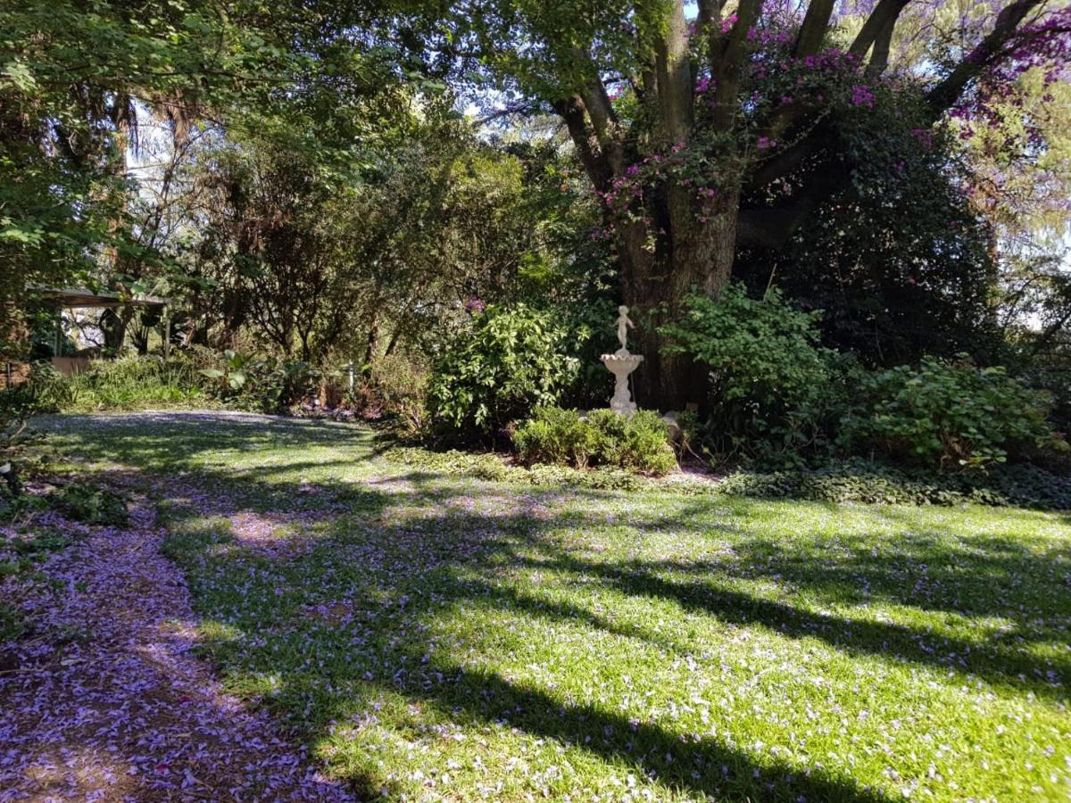 The Great Gatsby Houghton Bed & Breakfast Johannesburg Ngoại thất bức ảnh